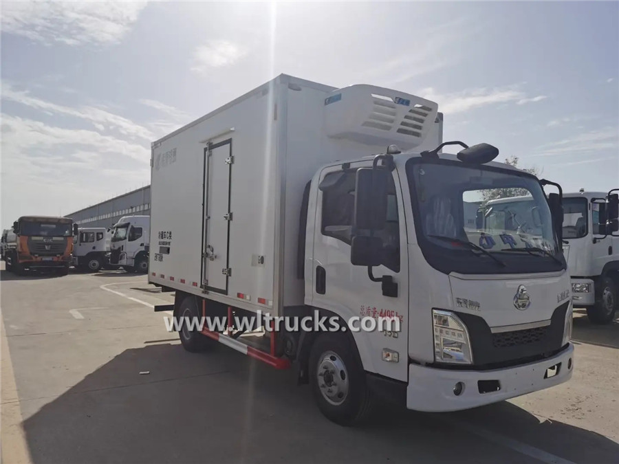 DFLZ 4mt freezer truck