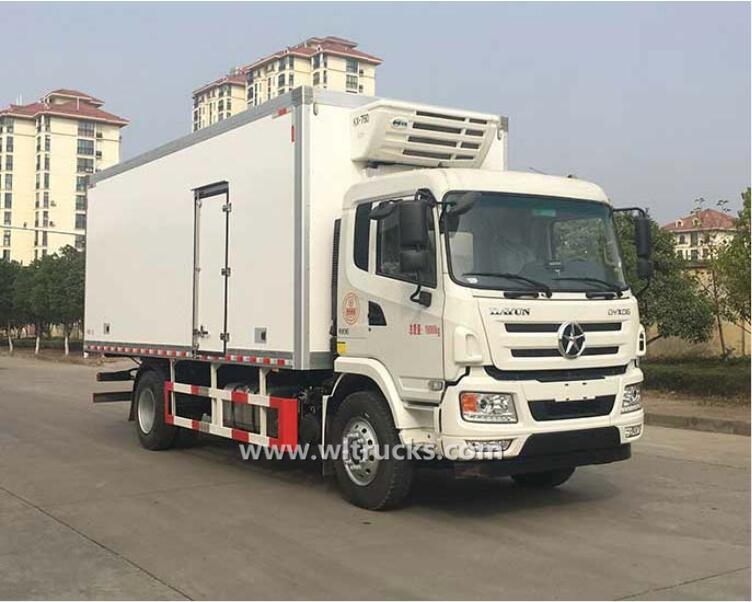 Dayun 12 ton cold chain transport truck