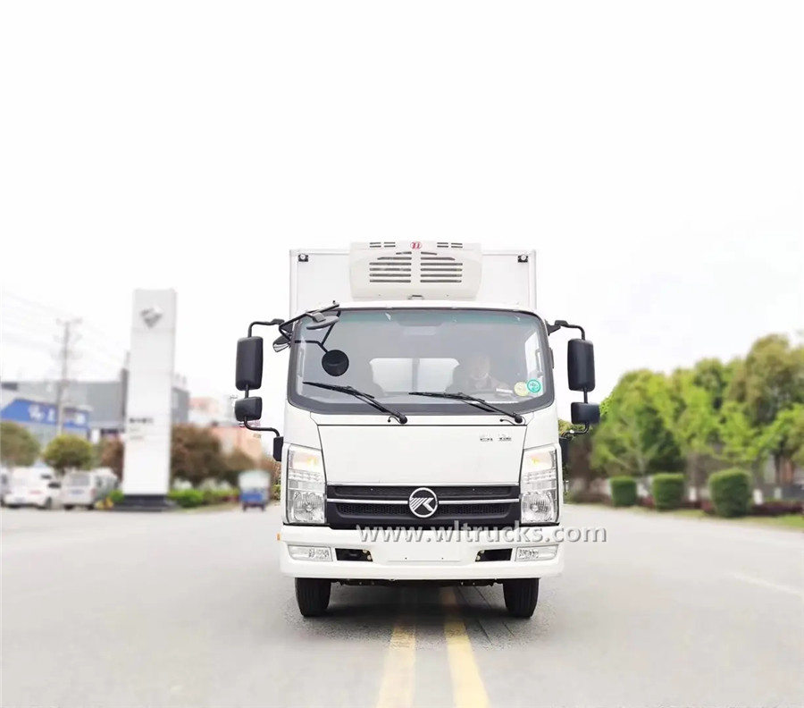 KAMA 3mt truck with refrigerator