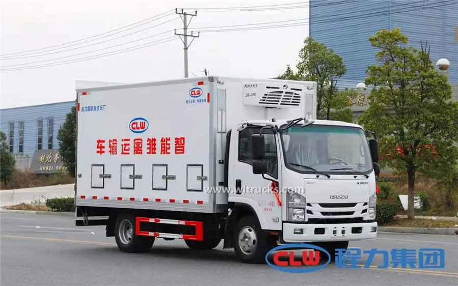 Japan Isuzu ELF 17m3 Day old chick vehicles