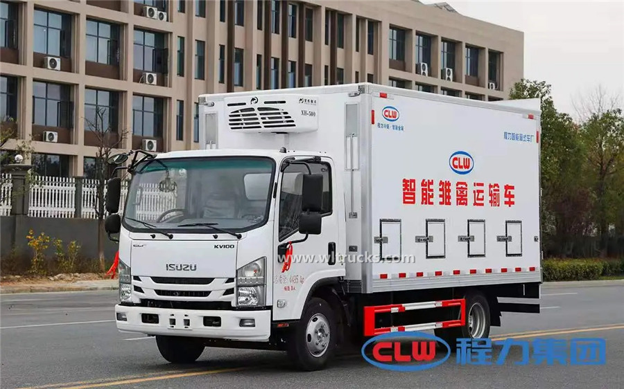 Japanese Isuzu ELF 17cbm day old chicks truck